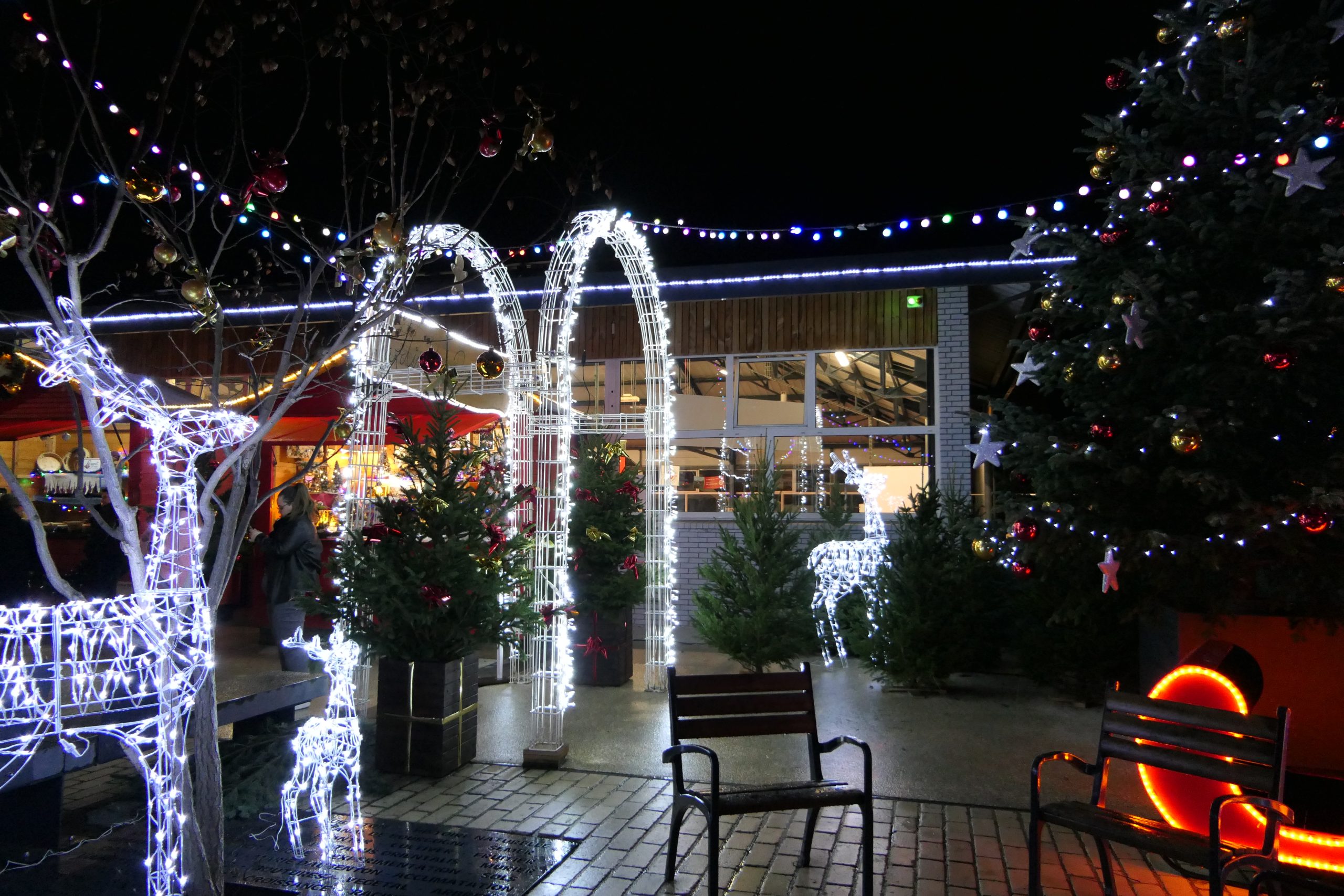 Le marché de Noël de Montbard - De nuit Le marché de Noël de Montbard - De nuit