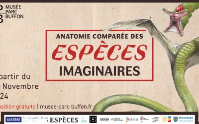 Anatomie comparée des espèces imaginaires