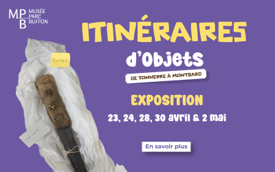 Itinéraires d’objets de Tonnerre à Montbard