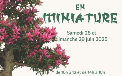 Arbres en miniature