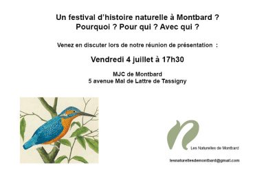 Réunion publique de présentation du festival
