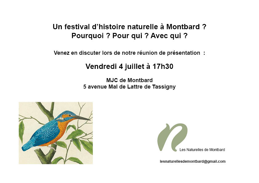 Réunion publique de présentation du festival