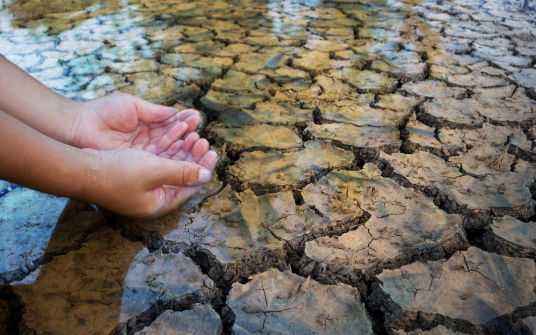 Sécheresse – alerte – au 22 juin