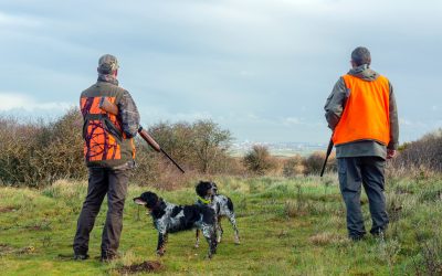 Campagne de chasse 2025–2026 : informations utiles