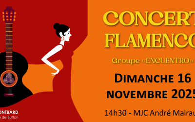 Concert de Flamenco