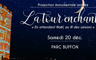 La Tour enchantée : un spectacle monumental au parc Buffon