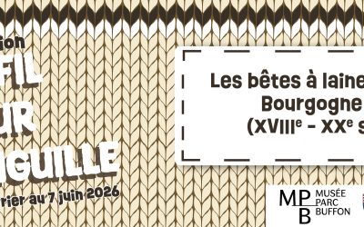 Exposition Du fil pour l&rsquo;aiguille