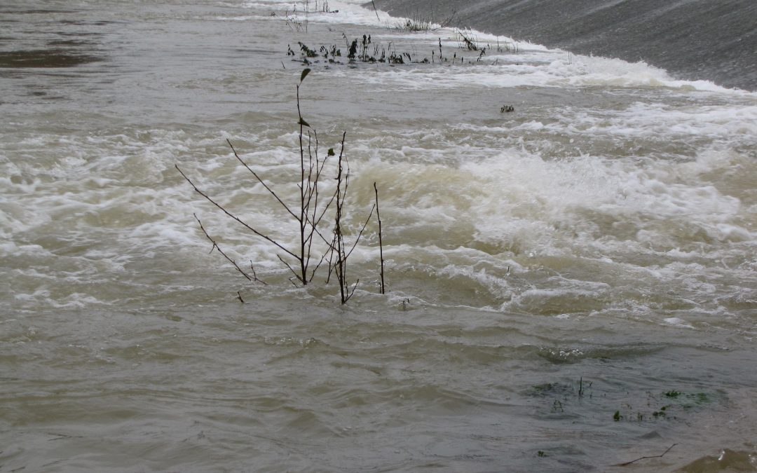 Vigilance – évolution des niveaux de la Brenne
