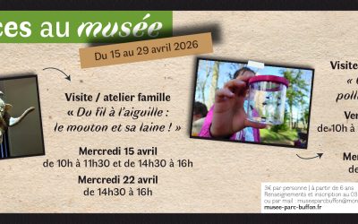 Vacances d&rsquo;avril au musée Buffon