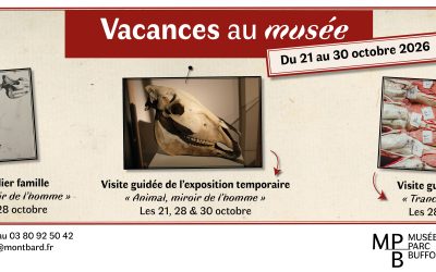 Vacances de la Toussaint au musée Buffon