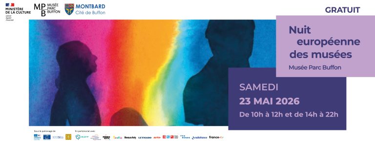 Nuit des musées