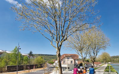 Reflets Montbardois n°240