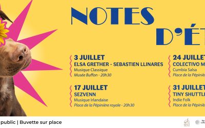 Notes d’été 2026
