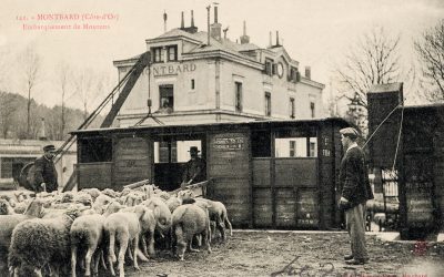 Exposition Autopsie Photographique