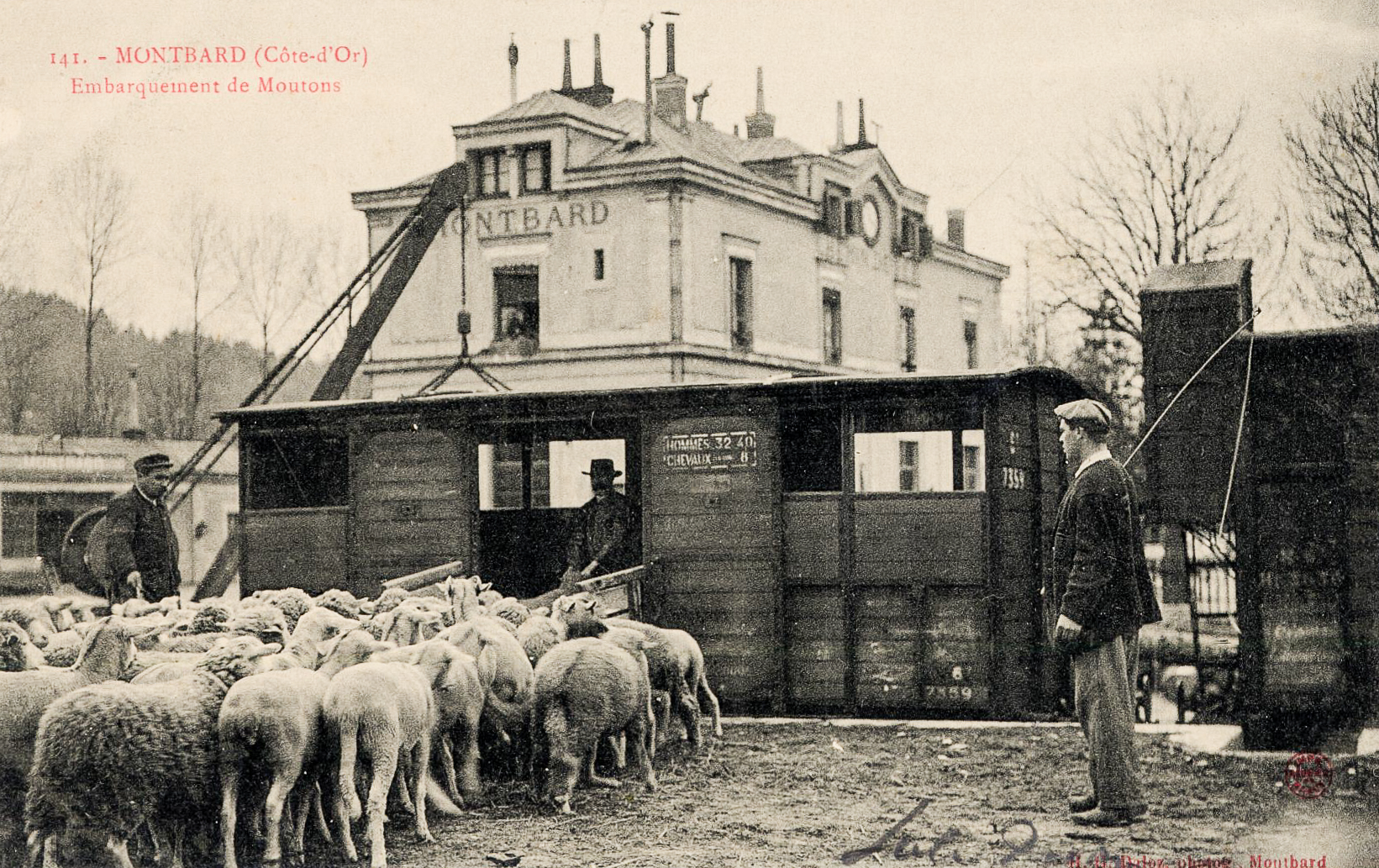 Exposition Autopsie Photographique