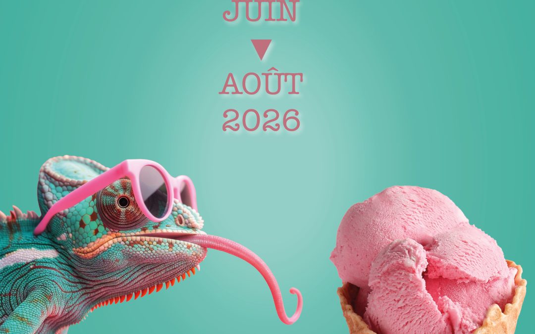 Un été pensé pour tous à Montbard
