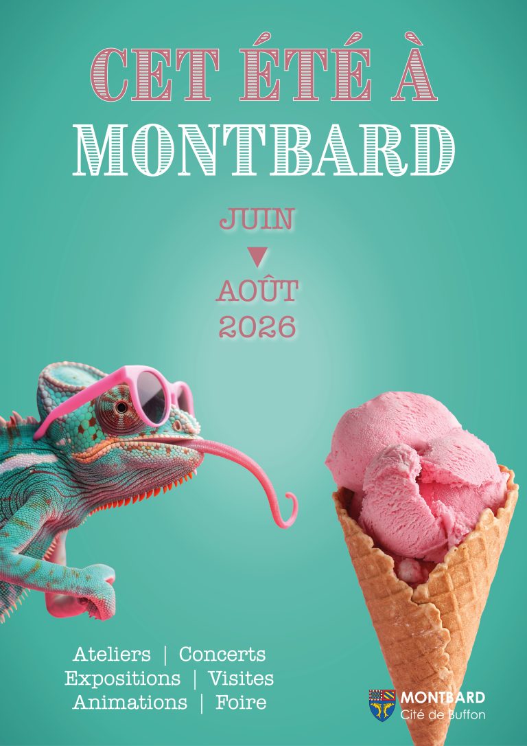 Un été pensé pour tous à Montbard
