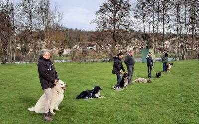 Compétition de HOOPERS et concours d’AGILITY