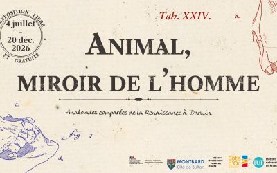 Nouvelle exposition Musée Buffon – Animal miroir de l’homme