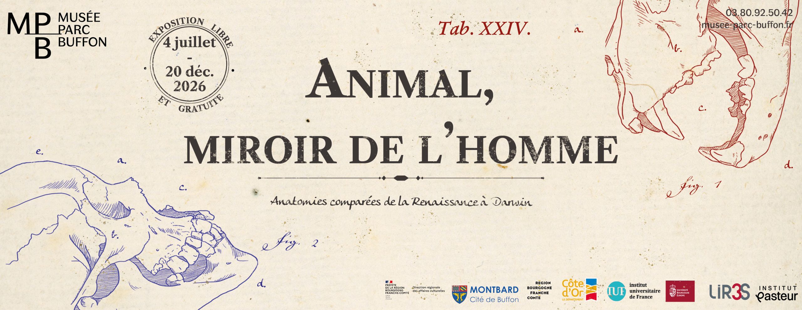 Animal miroir de l'homme, nouvelle exposition du Musée Buffon
