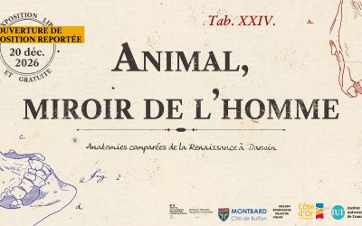 OUVERTURE DE L’EXPOSITION REPORTÉE – Animal miroir de l’homme