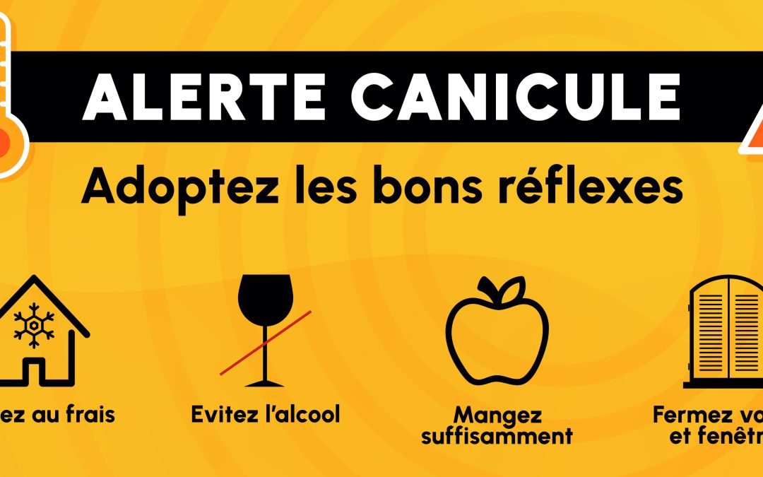 Vigilance orange canicule : adoptez les bons réflexes
