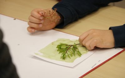Visite-atelier famille au musée