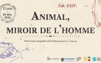 Animal miroir de l’homme