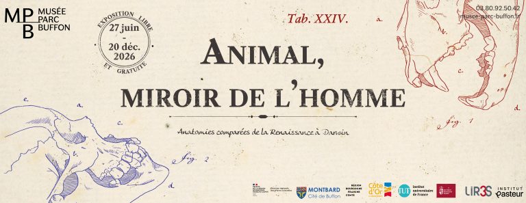 Animal miroir de l’homme