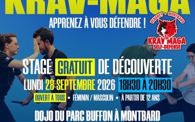 STAGE KRAV MAGA